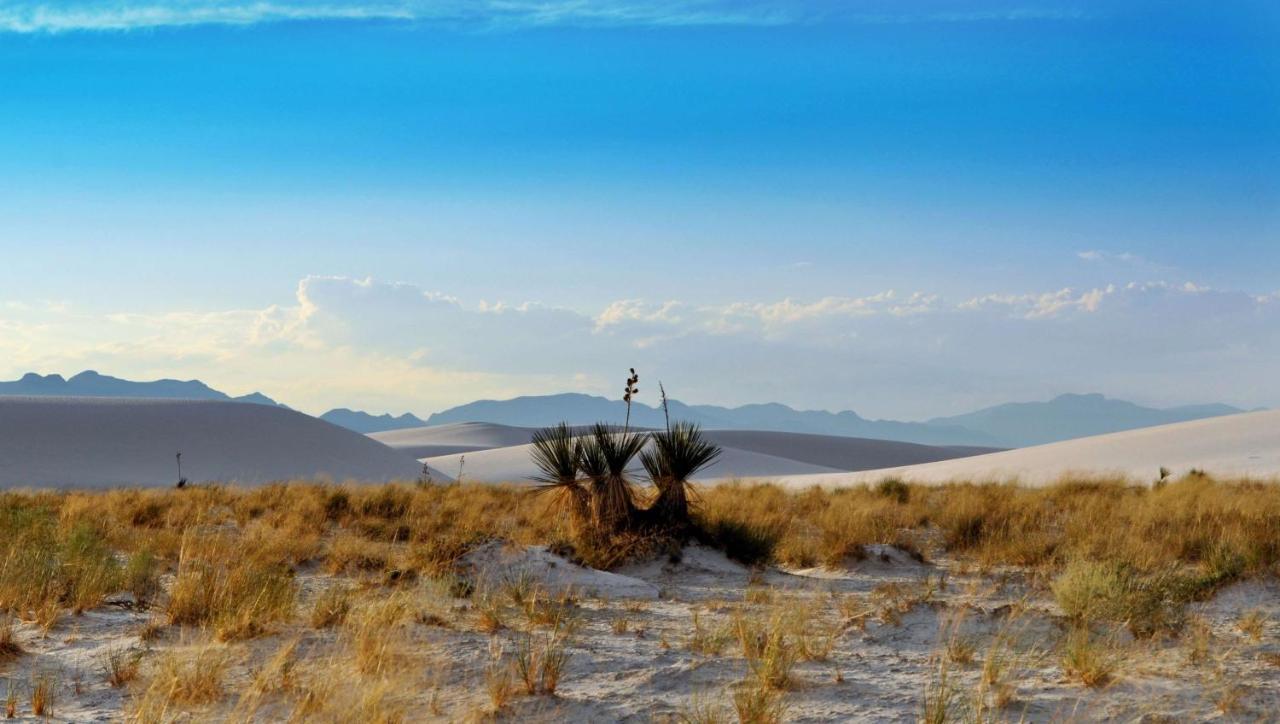 The Classic Desert Aire Hotel アラモゴード エクステリア 写真