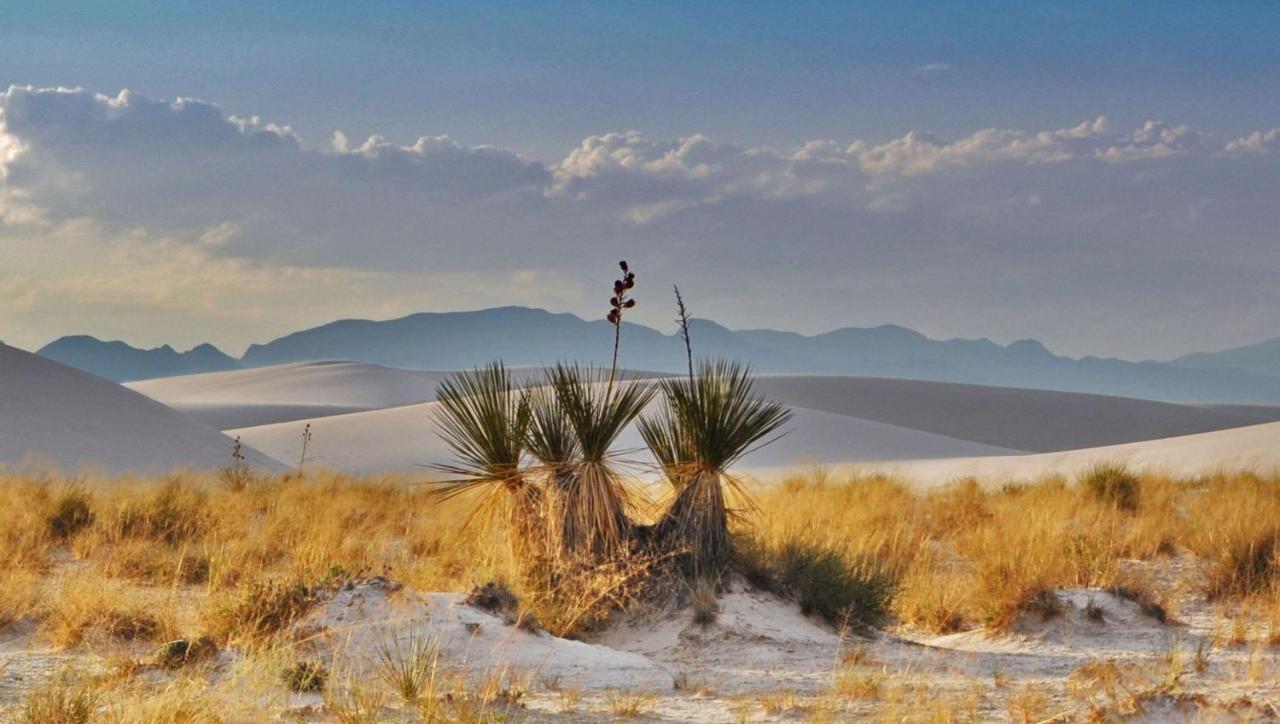 The Classic Desert Aire Hotel アラモゴード エクステリア 写真